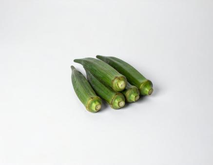 野菜 オクラ 4 野菜 オクラ 4の写真