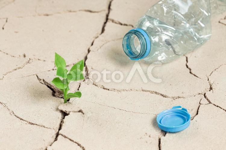 ひび割れた土の地面とペットボトルゴミと植物 温暖化,水不足,乾燥の写真素材