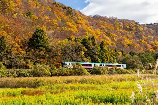 秋の陸羽東線⑶ 秋,紅葉,里山の写真素材
