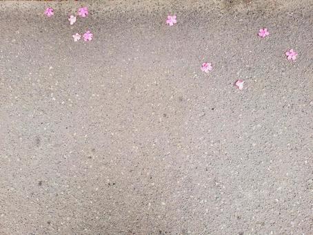 ツツジの花 道ばた ツツジの花 道ばた つつじ,花,植物の写真素材