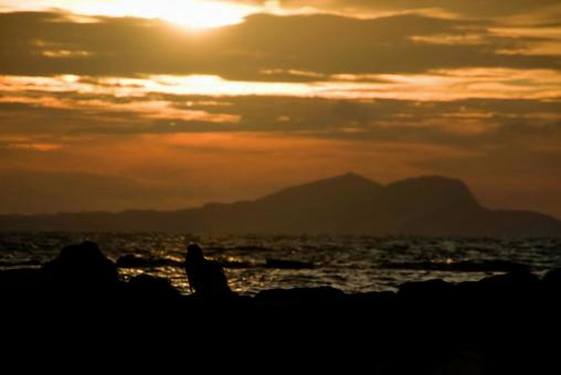<五島の風景>夏の夜明けの海の風景 <五島の風景>夏の夜明けの海の風景 トンビ,鳶,海の写真素材