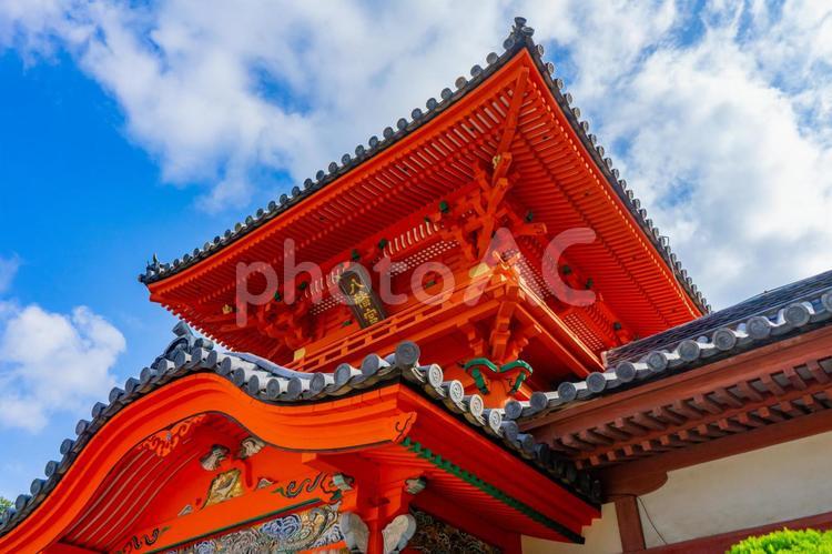 伊佐爾波神社 伊佐爾波神社,神社,風景の写真素材