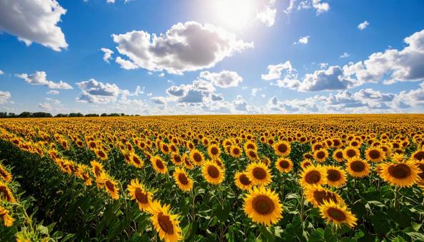 F_Stockphoto_5 F_Stockphoto_5の写真