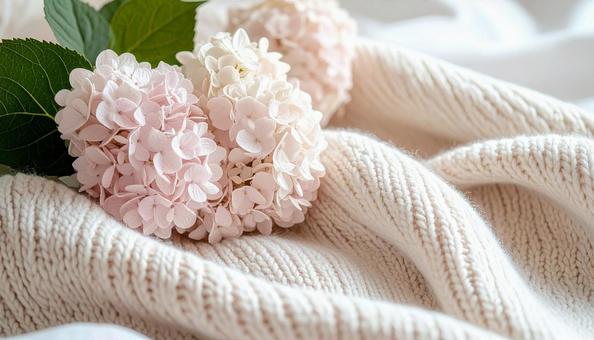 紫陽花の花 紫陽花の花の写真