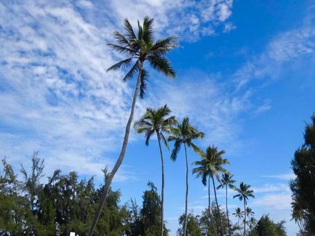 カイルアの空の写真