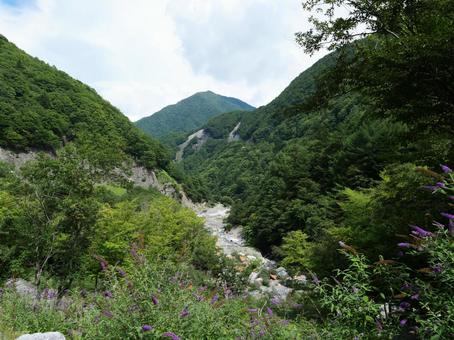 鋸岳登山道 鋸岳登山道 鋸岳,北杜市,南アルプスの写真素材