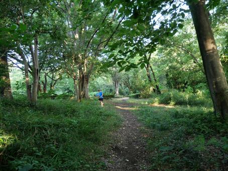 夏の公園の風景 夏の公園の風景の写真
