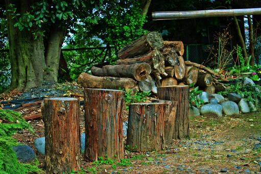 木の切り株 木,木材,自然の写真素材