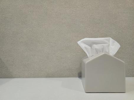 壁とティッシュ ティッシュ,壁,ケースの写真素材