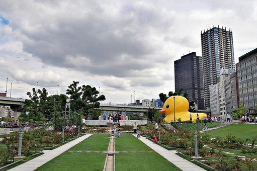 休日の中之島公園の風景 中之島公園,中之島バラ園,街並みの写真素材