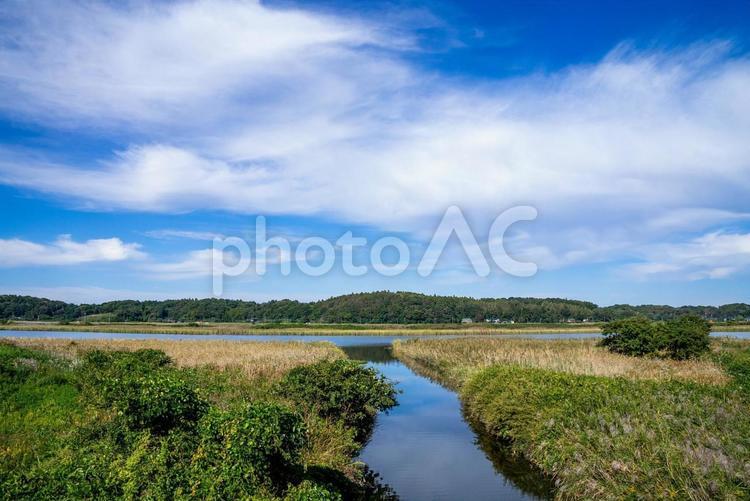 湖畔の風景 湖畔,湖,ボートの写真素材