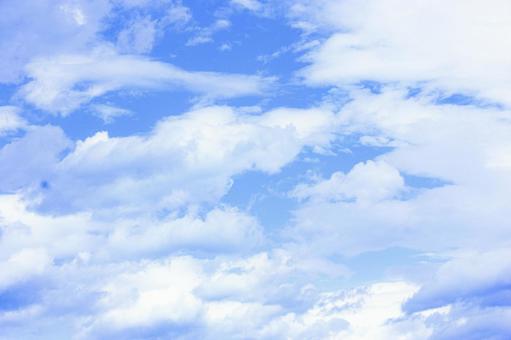 青空4 青空4の写真