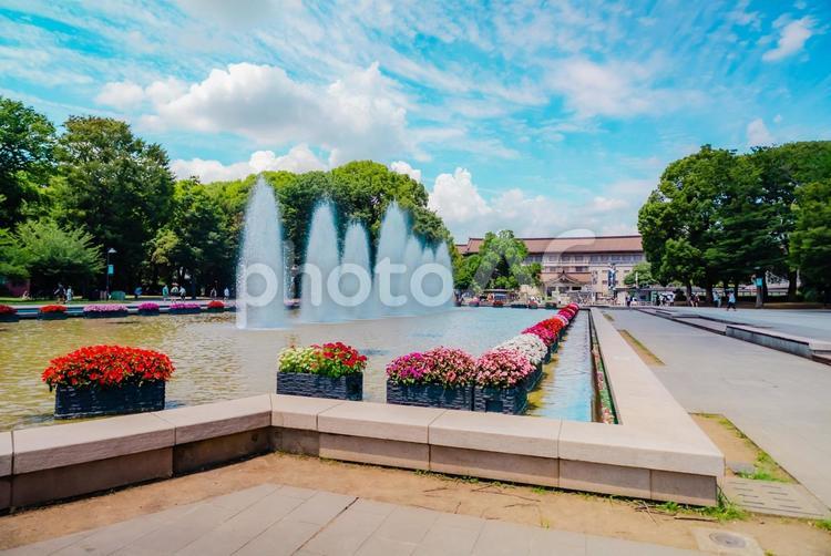 【東京】上野駅の周辺 上野公園 2025 上野,東京,上野公園の写真素材