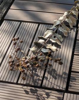 秋25111 秋,木漏れ日,サルスベリの写真素材