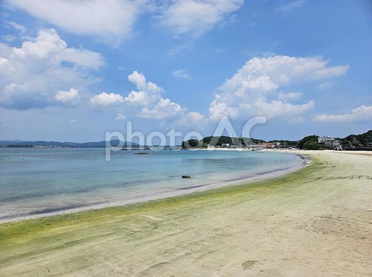 御座白浜海水浴場 御座白浜,御座白浜海水浴場,海水浴場の写真素材