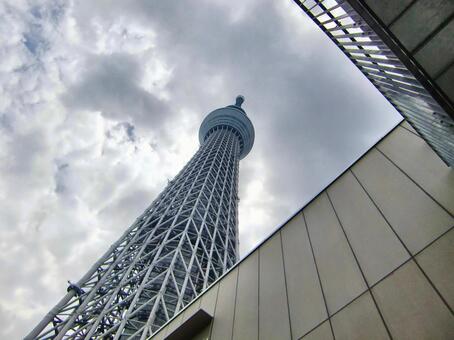 曇り日の東京スカイツリー-147 東京スカイツリー,曇り日,雲の写真素材