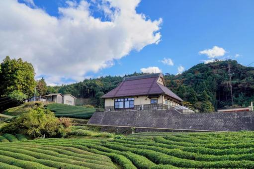 出雲のお茶産地・唐川の景観 出雲のお茶産地・唐川の景観の写真