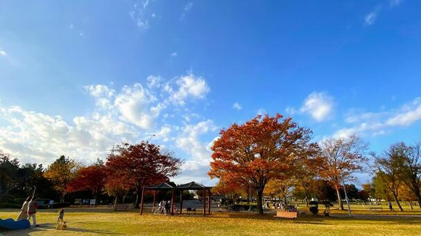 紅葉の北部公園（金沢） 紅葉,秋,公園の写真素材