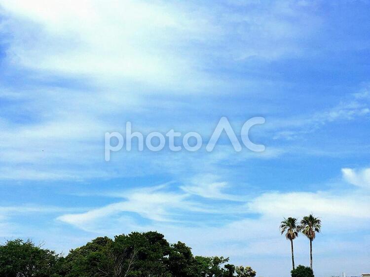 三浦半島　海２ 秋,海岸,三浦半島の写真素材