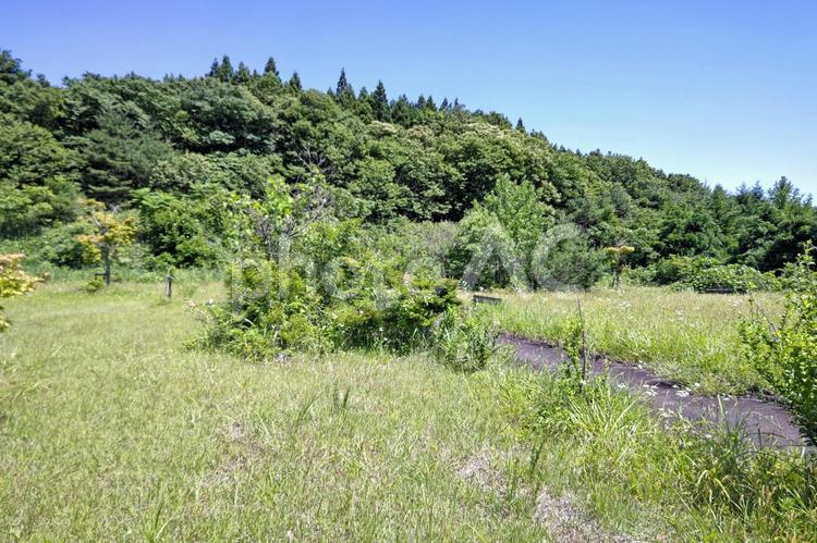 田舎の山と草むら 夏,草むら,田舎の写真素材