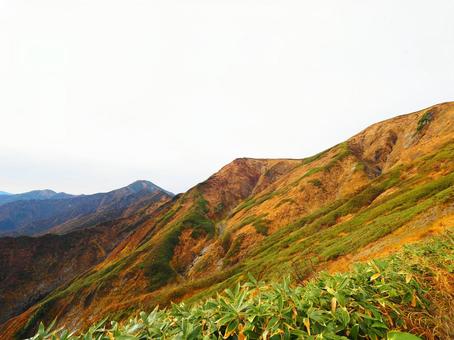 紅葉(越後三山・越後駒ヶ岳) 紅葉(越後三山・越後駒ヶ岳)の写真