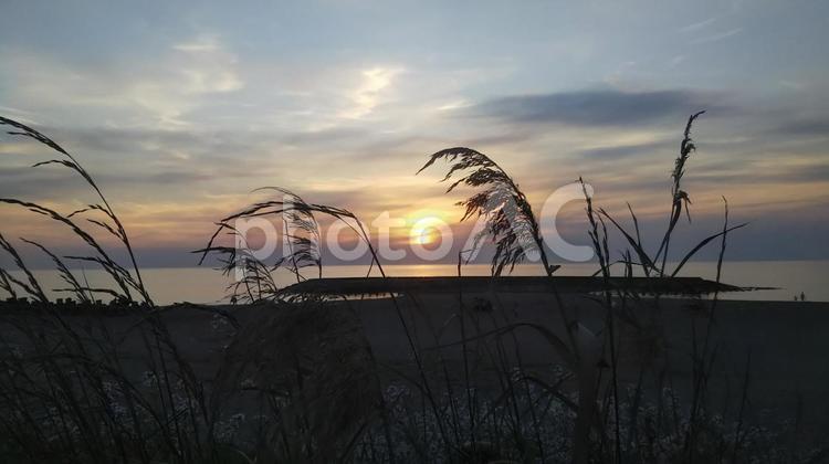 ススキ越しの夕日 夕焼け,夕日,秋の写真素材