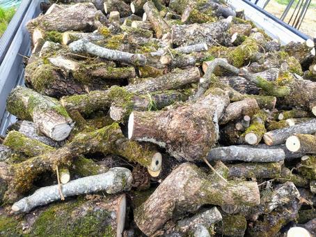 軽トラックの荷台に積まれた丸太 軽トラックの荷台に積まれた丸太 丸太,原木,枝の写真素材
