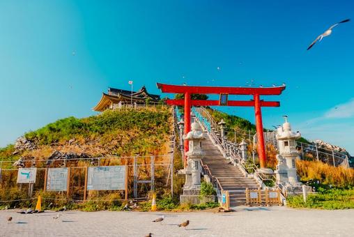 【青森】本八戸の蕪嶋神社 2025 【青森】本八戸の蕪嶋神社 2025の写真