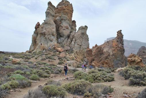 【Spain】Teneriffa 【Spain】Teneriffa スペイン,テネリフェ島,幸運の島の写真素材