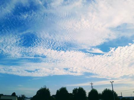青空 青空の写真
