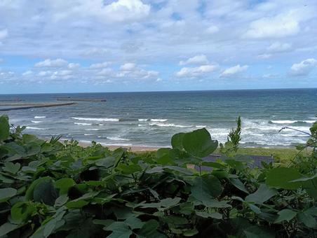 海岸の風景03 海岸の風景03 海岸,青空,海原の写真素材