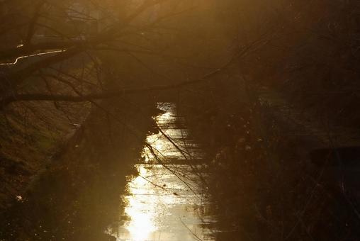 黄金色の冬のたそがれ たそがれ,夕景,黄金色の写真素材