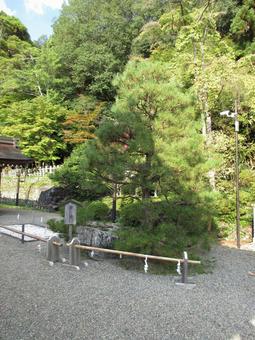 京都府-出雲大神宮-舟岩 京都府-出雲大神宮-舟岩 出雲大神宮,神社,丹波国の写真素材