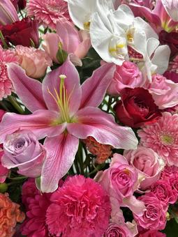 華やかなピンク系の花々3(縦) 花束,ブーケ,ピンクの写真素材