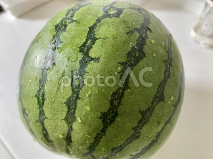 水に濡れたスイカ スイカ,野菜,果物の写真素材