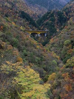 雁坂大橋 秋の風景,紅葉,11月の写真素材
