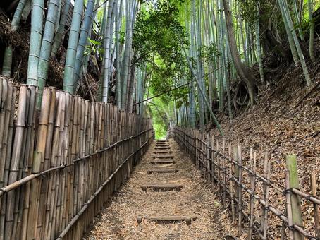 佐倉城跡公園のひよどり坂 佐倉城跡公園のひよどり坂 佐倉城跡,公園,千葉県佐倉市の写真素材