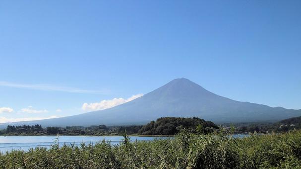 初秋の河口湖大石公園から望む富士山 初秋の河口湖大石公園から望む富士山の写真