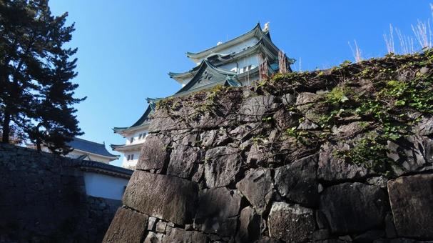 名古屋城　天守　大天守　小天守 名古屋城,尾張徳川家,御三家の写真素材
