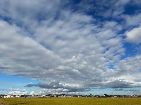 曇り空、草、空、雲 曇り空、草、空、雲の写真