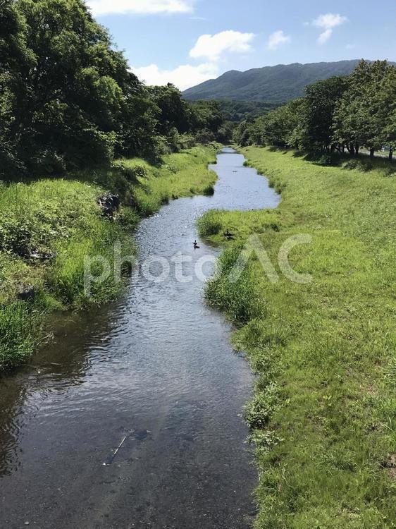 田舎　川のある景色 自然,田舎,癒しの写真素材