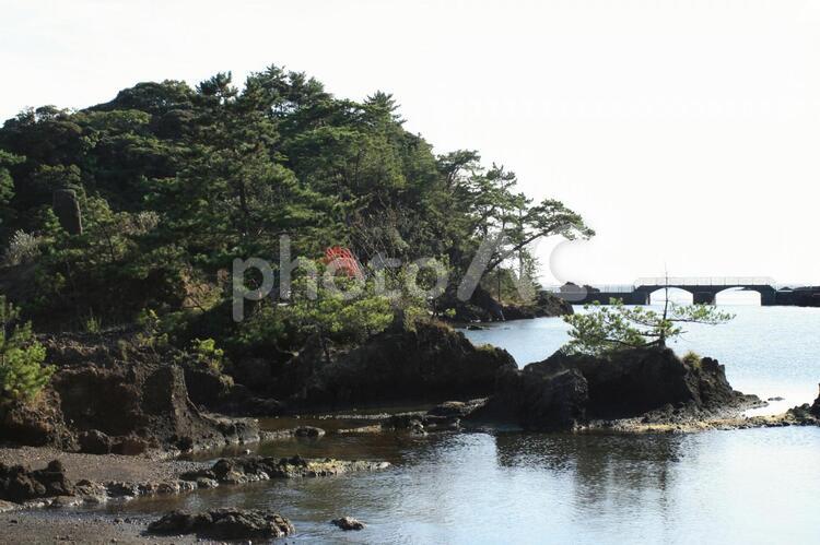 佐渡の矢島・経島 海,海岸,自然の写真素材