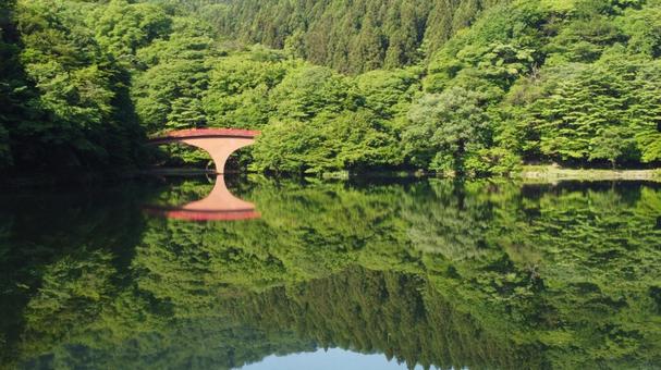 湖の橋 湖の橋の写真