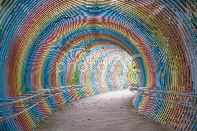 兵庫県　播摩中央公園の風景 播摩中央公園,兵庫,兵庫県の写真素材