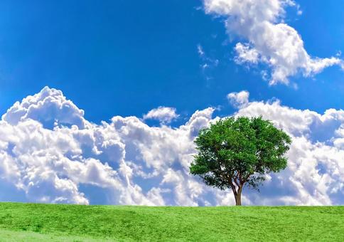 Sky, clouds and trees, JPG Sky, clouds and trees, JPG