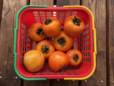 かごに入った柿 柿,甘柿,渋柿の写真素材