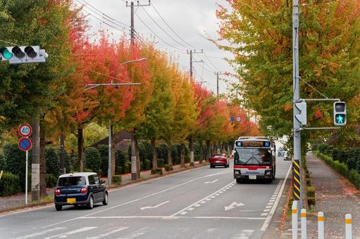 路線バス１０ 路線バス,東急,道路の写真素材
