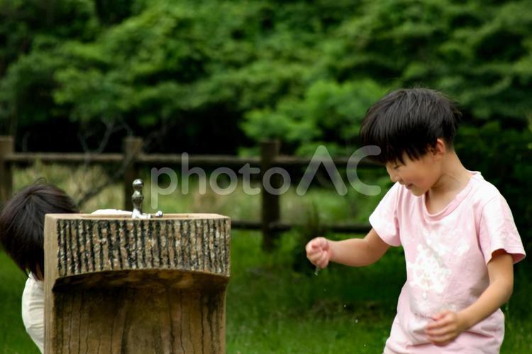 ＜素材＞暑さ対策に顔を濡らそうとする兄弟 子供,男性,人物の写真素材