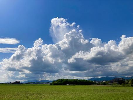 入道雲と青空と田んぼ 入道雲と青空と田んぼ 入道雲,青空,田んぼの写真素材