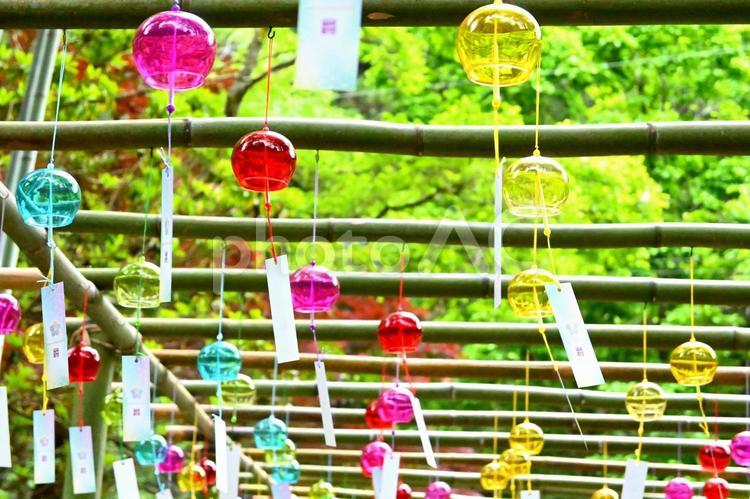 神社の風鈴 風鈴,神社,夏の写真素材